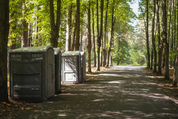 Professional porta potty rental in Stony Point, MI